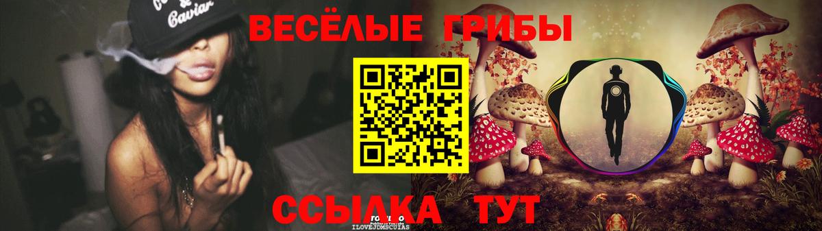 Карпинск  Галлюциногенные грибы GOLDEN TEACHER  Галлюциногенные грибы MAGIC MUSHROOMS  Вход с VPN 